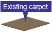 existing carpet